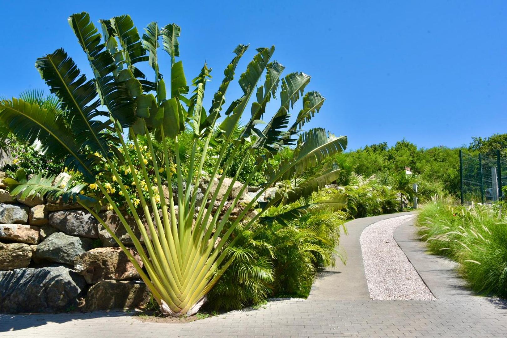 Orient Bay - Amazing Sea View - House 3Bd And 4Bd - Apartment 1 Bd Sea View - 1 Studio View Mountain Quarter of Orleans Eksteriør bilde